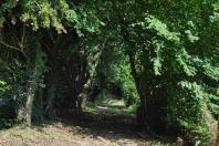 Chemin de Guernesey 